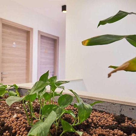Boutique Garden Rooms ドゥブロブニク エクステリア 写真